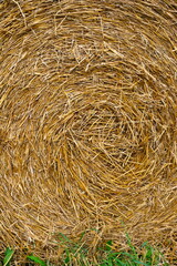 haystack rolled into a spiral