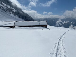 Indigenous alpine huts and wooden cattle stables on Swiss pastures covered with fresh white snow cover, Nesslau - Obertoggenburg, Switzerland (Schweiz)