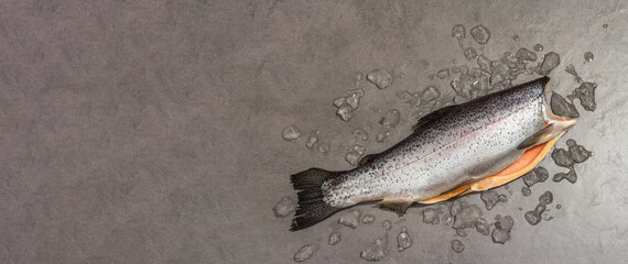 Raw trout carcass with ice on a grey stone concrete background. Sea fish, healthy food