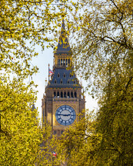Fototapeta na wymiar Elizabeth Tower viewed from the Victoria Embankment in London, UK
