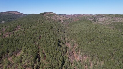 landscape in the mountains