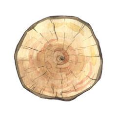 Obraz premium A wooden tablet is painted with watercolor. Text board. Isolated object on a white background.