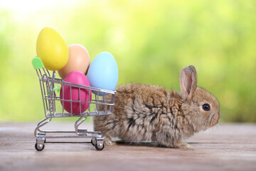 Baby cute and adorable rabbit sitting on green grass. Small and young bunny  is a lovely furry pet.  Easter concept on yellow background, egg and grass with bokeh as nature background