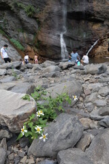 rocks and waterfyl design for leisure and natural concept