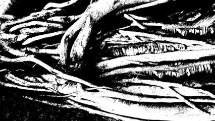 Black and white vector texture of dense thickets. Deep intertwined roots of old trees. Abstract overlay layer used for 3D design