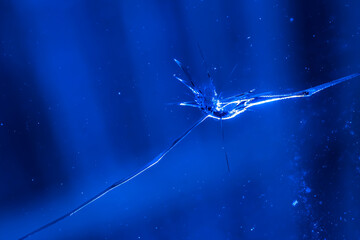 cracks on glass, Texture of broken glass. the glass was broken by a bullet..