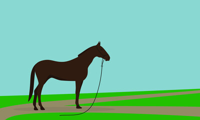 Brown horse with reins stands on the road in the field