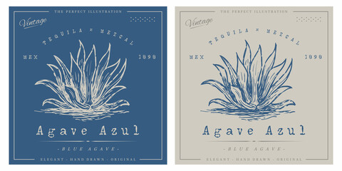 Blue agave vintage logo tequila template - obrazy, fototapety, plakaty