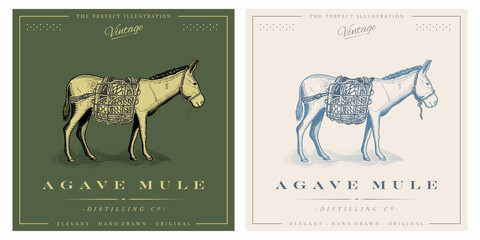Agave mule donkey baskets realistic illustration - obrazy, fototapety, plakaty
