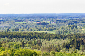Obraz premium View of rural countryside with forests and horizon in summer