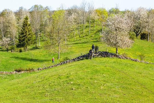 People on a hiking trail that crosses a stone wall
