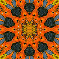 Colourful kaleidoscope art design abstract background with effect polygon circle ornament. Fractal...