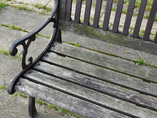 wooden bench in the park