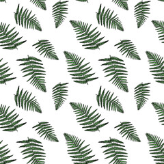 Vector pattern with ink fern