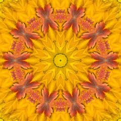 Colourful kaleidoscope art design abstract background with effect polygon circle ornament. Fractal...
