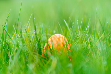 An orange easter egg lies in the grass