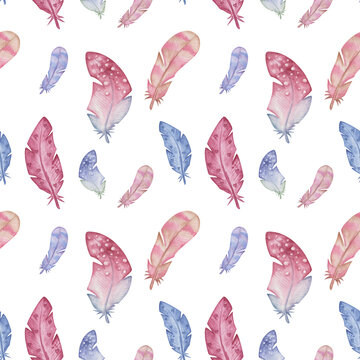 Watercolor seamless pattern from hand painted illustration of pink, blue, brown wild bird's feathers. Print on white background in boho style for design postcard, fabric textile, wedding invitation