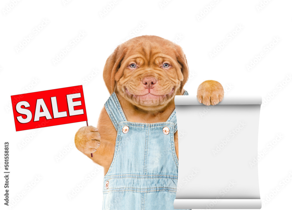 Aufkleber Smiling puppy farmer wearing overalls holds sales symbol and empty list. isolated on white background