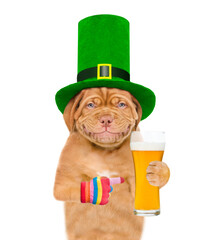 St Patrick's Day concept. Funny mastiff puppy wearing hat of the leprechaun with a glass of beer. isolated on white background