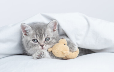 Fototapeta na wymiar Cozy tiny kitten lying with favorite toy bear under warm white blanket on a bed at home