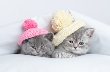 Two cute kittens wearing warm knitted hats lying together  on a bed under warm white blanket