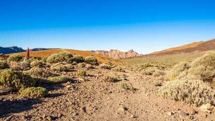 Fototapeta na wymiar Typischer Wanderweg in Steinwüste des Teide Nationalpark auf Teneriffa, Kanaren, Spanien