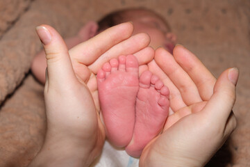 The legs of a two-week-old baby are in the hands of a mother. The palms of a woman and the feet of a child, the love and care of parents.