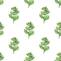 Watercolor Spinach with flower seamless pattern on white background. Greenery hand drawing illustration. Fresh green leaf for salad. Healthy food.