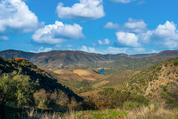 View over the valley of the Alto da Sapinha's Lookout.(Miradouro do Alto da Sapinha)