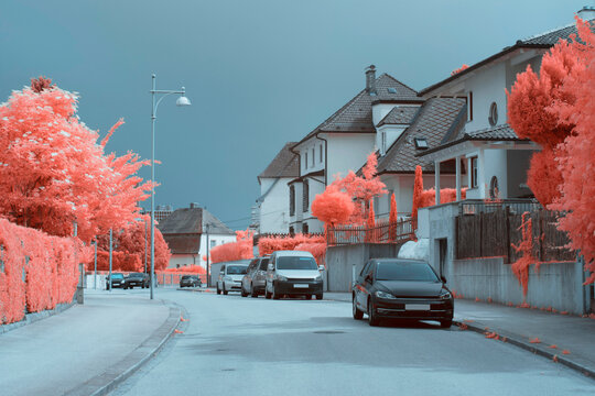 Infrared trees near suburban houses