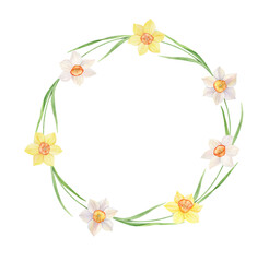 Fototapeta premium Watercolor Wreath of yellow and white daffodils. Hand painted illustration with spring flowers isolated on white background, frame for invitation