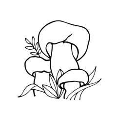 Vector illustration of white mushrooms in the forest. Sketch style drawing isolated on white background. Vegetarian object for menu, label, product packaging