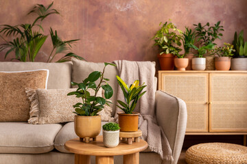 Fototapeta na wymiar Stylish composition of creative spacious living room interior with plants, sofa, coffee table, rattan chest of drawers and stylish accessories. Botanical space of a cozy room. Brown walls. Template.