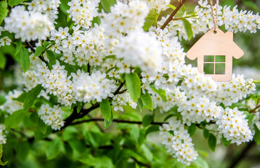 The symbol of the house among the branches of the Bird cherry
