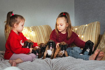 children at home on the couch playing with small German boxer puppies