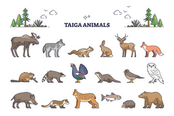 Fototapeta premium Taiga animals collection with natural habitat creatures type outline set. Isolated wildlife elements group with environment and climate typical living birds, mammals and fishes vector illustration.