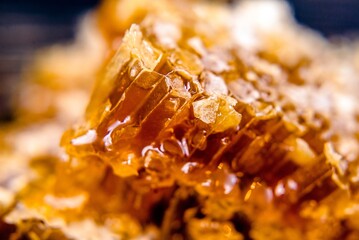 honey in honeycombs shot close-up
