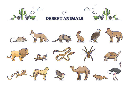 desert animals names