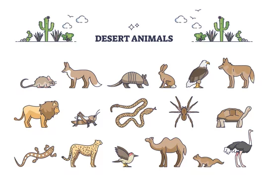 Desert animals collection with hot environment habitat species outline set.  Zoo wildlife with mammals, reptile and birds with warm and dry climate  adaption vector illustration. Zoology group division. Stock Vector | Adobe
