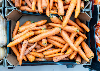 Fresh ripe organic carrots in a cardboard box