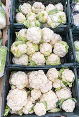 Fresh ripe organic cauliflower in a plastic boxes