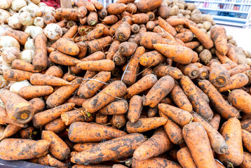 Fresh ripe organic carrots sale at the superstore