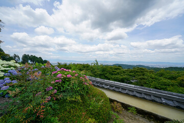 Fototapeta na wymiar 善峯寺から見た京都市街