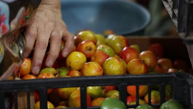 Jocote in a Market in Oaxaca Mexico