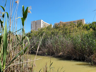 Vega Baja del Segura - Guardamar del Segura - Molino Harinero de San Antonio, Azud y Puente de...