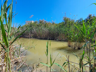 Vega Baja del Segura - Guardamar del Segura - Molino Harinero de San Antonio, Azud y Puente de Hierro, junto al río Segura.