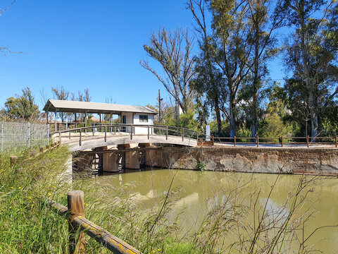 Vega Baja del Segura - Guardamar del Segura - Molino Harinero de San Antonio, Azud y Puente de Hierro, junto al río Segura.