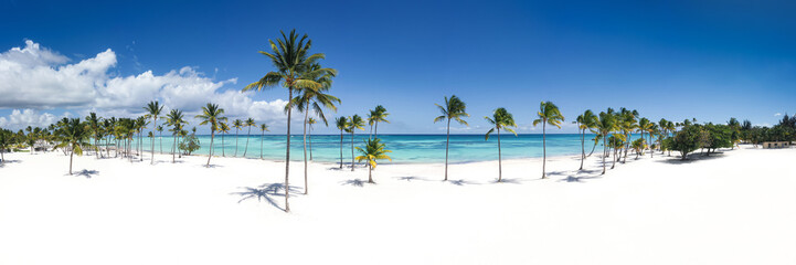 Obraz na płótnie Canvas Beautiful tall coconut palms at Juanillo beach, Dominican Republic. Travel destination. Panorama view