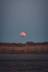 Blutmond