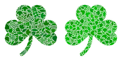 Nature clover leaf icon collage of herbal leaves in green and natural color tints. Ecological environment vector concept for clover leaf icon. Clover leaf vector image is made from green herbal parts.
